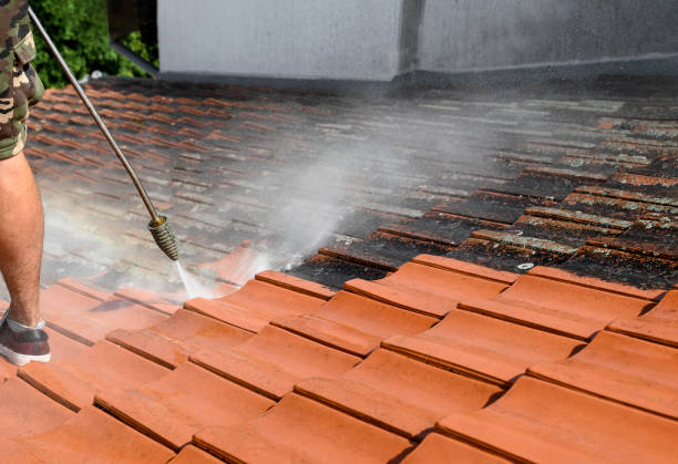 Best Pressure Washing Company Near Me  in Waelder, TX