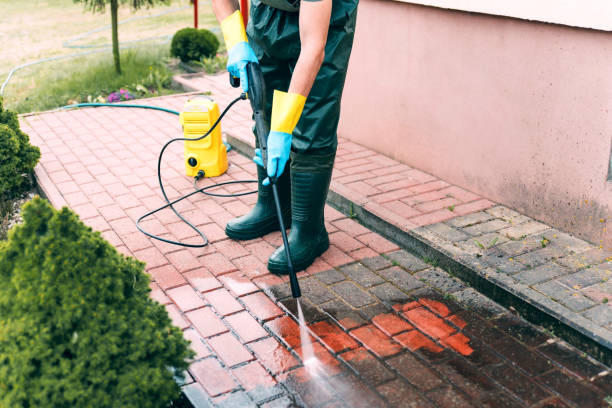 Best Exterior Home Cleaning  in Waelder, TX