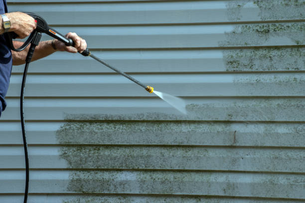 Best Roof Power Washing Services  in Waelder, TX