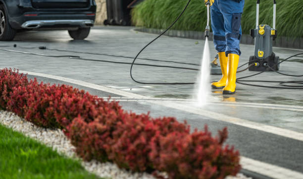 Best Exterior Home Cleaning  in Waelder, TX