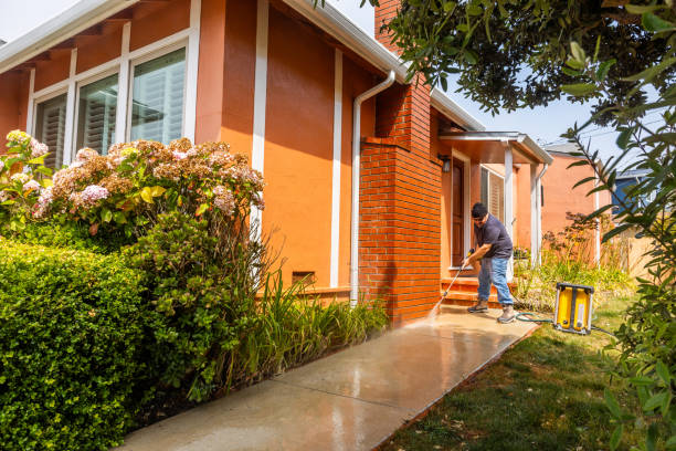 Best Pressure Washing Patio  in Waelder, TX