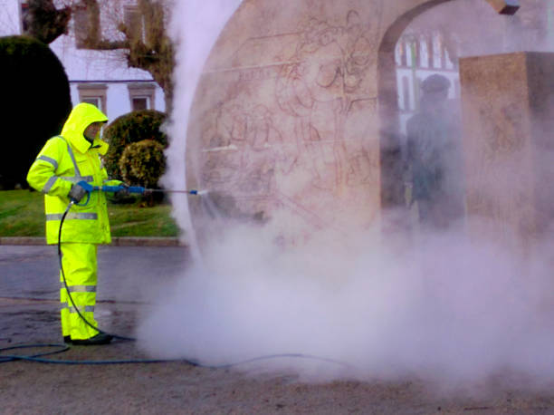 Best Pressure Washing Near Me  in Waelder, TX