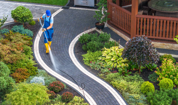 Best Pressure Washing Near Me  in Waelder, TX