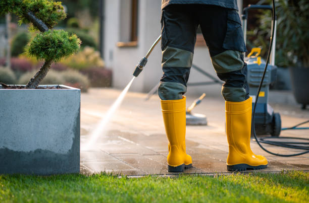 Best Residential Pressure Washing Services  in Waelder, TX